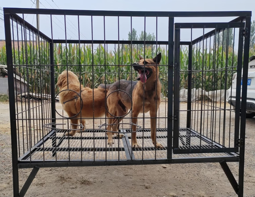 HKML reinforced dog cage for medium and large dogs, outdoor dog cage, solid angle steel welded large dog cage, special dog cage for kennels, encrypted paint with top, length 120, width 100, height 130