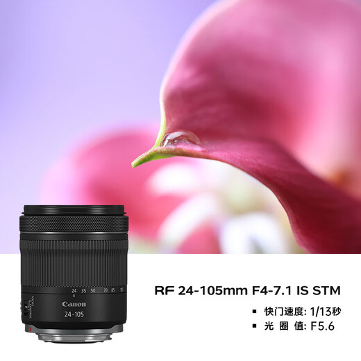 Canon r5 professional mirrorless camera Bird shooting equipment digital camera eos r5 full frame Vlog camera 8K video shooting Place an order for Labubu & Jindou R5 disassembled body + RF 24-105 STM disassembled lens VLOG video Professional handheld fill light + professional microphone master tripod