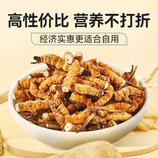 Sejila Cordyceps sinensis cordyceps selected Cordyceps 10g affordable package Nutritional supplements for the elderly