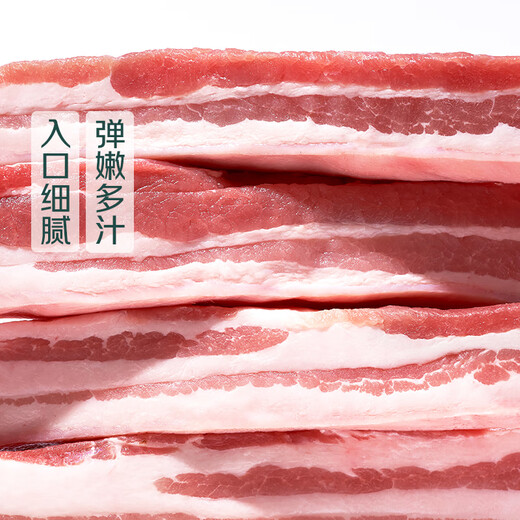 【180天白猪家庭装】冰鲜猪带皮五花肉1kg