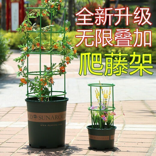 勤凯花架子室内家用支架通用型蟹爪兰花架莲花护叶架园艺盆栽支撑杆AS 【升级加粗+植物通用】 拍一发十【60根】到手十层
