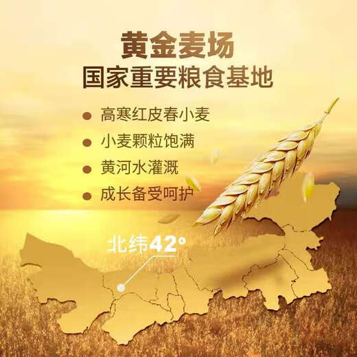 亿谷乐新国标1355-2021面粉10斤内蒙古特产无添加剂雪花粉饺子馒 新国标1355-2021雪花粉10斤