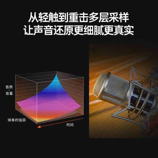 特伦斯电钢琴88键重锤数码电子钢琴专业成人儿童初学入门考级E50/E55