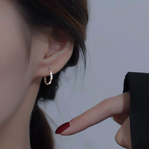 Bai Qixin earrings women's s925 silver needle niche design earrings, trendy and high-end earrings, pierced ears, teacher's day gift, light luxury earrings