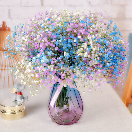 AIMAN Gypsophila Natural Dried Flower Bouquet Ins Internet Celebrity Birthday New House Decorative Ornaments Air-Dried Real Flower Arrangement Home Furnishings Pink Gypsophila Without Vase