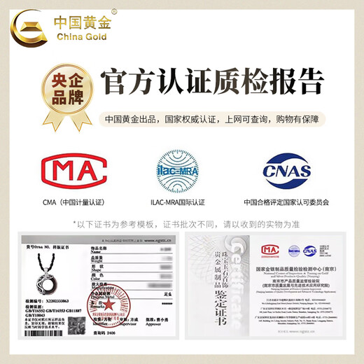 CHINA GOLD Obsidian Peace Buckle Necklace Men's 925 Silver Zodiac Book Valentine's Day Birthday Gift for Girlfriend and Wife Snake with Black Rope