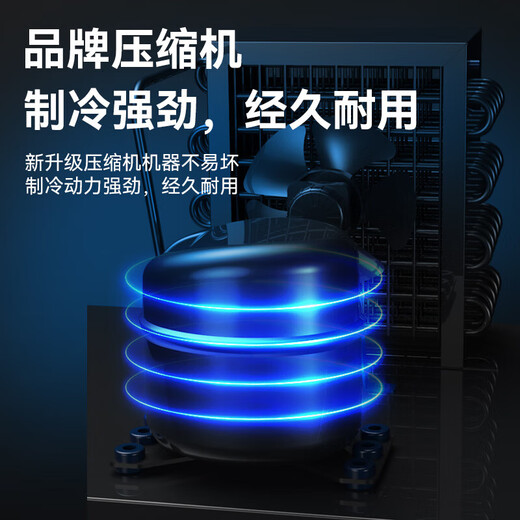 堡尔BAOER冰柜商用大容量家用双温卧式冷柜展示柜家商两用囤货大冷柜 厨房餐饮后厨一边冷冻一边冷藏 728双温两用一边冷冻一边冷藏 380L