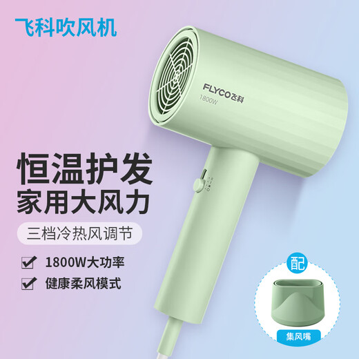 Secador de pelo de Flyco para hogares de alta potencia de 1800W secadora de velocidad silenciosa La temperatura constante de la temperatura que los estudiantes no se lastimarán el cabello. Estándar original FH6296 Aguacate Green