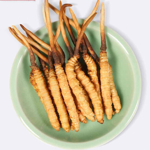 
Beijing Tongrentang Cordyceps sinensis Cordyceps sinensis 2-6 roots/gram Cordyceps dried goods soaked in wine Cordyceps sinensis Tongrentang-40/10g pack