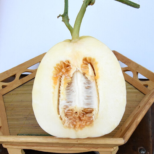 Zhongke Maohua Melon Fruit Seeds Maohua Sweet Fei Sweet Melon Seeds Northeastern Hybrid Jin Fei Cantaloupe Oval Sugar Contains 16-18 Degrees Yellow Crisp Pears 500 capsules/bag Yellow skin crack-resistant type