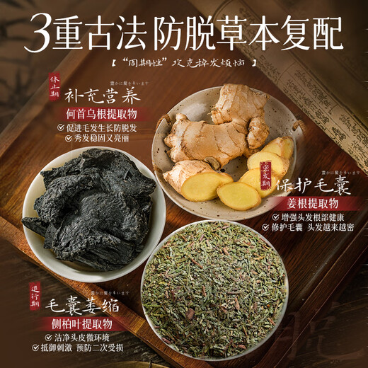 ZCL洗发水防脱发育发固发生姜控油蓬松去屑何首乌侧柏叶第1名金榜