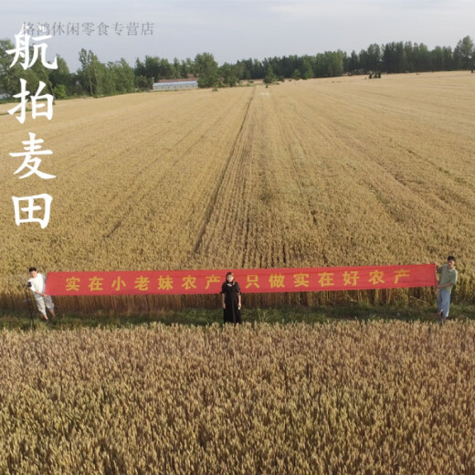 面粉无添加新国标1355-2021 家用中筋小麦自磨农家包子饺子馒头 新国标面粉5斤装