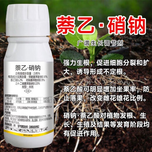 Happy Roots Sheng Complex Sodium Nitrophenolate Naphthalene Acetic Acid Rooting and Seedling Strengthening Agent Plant General Rooting Agent Rooting Water Field Fruit Tree Rooting Liquid Naphthalene Acetate Sodium Nitrate 10g*10 Bags