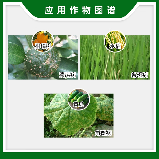 BASF Dry Shipping 30% Thiazole Zinc Cucumber Bacterial Angular Spot Disease Citrus Canker Fungicide Pesticide 100ml
