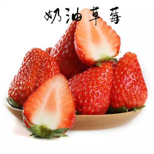 Strawberry seedlings shipped from the original soil, blooming and big fruit for four seasons, cream strawberry seedlings wholesale, fruit plug seedlings for the current year, 6 cream strawberries, shipped from the original soil + fertilizer