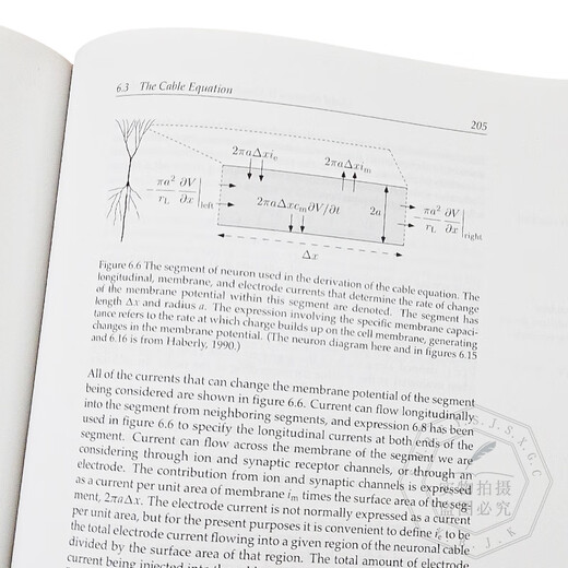 Spot Theoretical Neuroscience Neural System Computational and Mathematical Modeling Theoretical Neuroscience Computational and Mathematical Modeli
