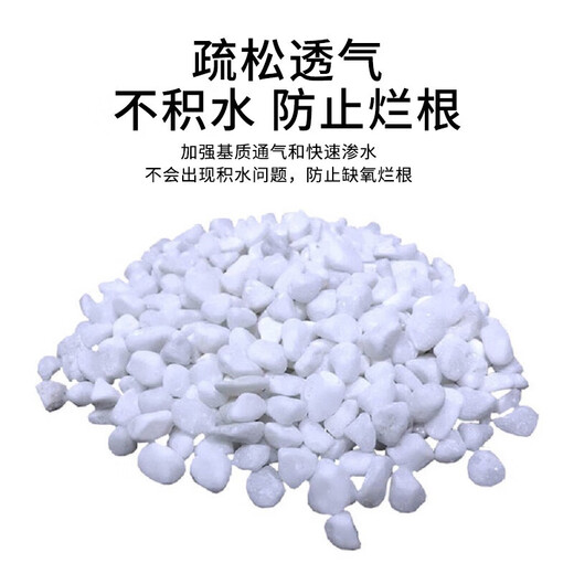 Devodo white stone 2.5KG succulent planting soil flower soil plant planting matrix succulent granular soil nutrient soil