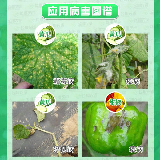 Purik propamocarb hydrochloride cucumber damping-off disease downy mildew pesticide sterilization 100ml
