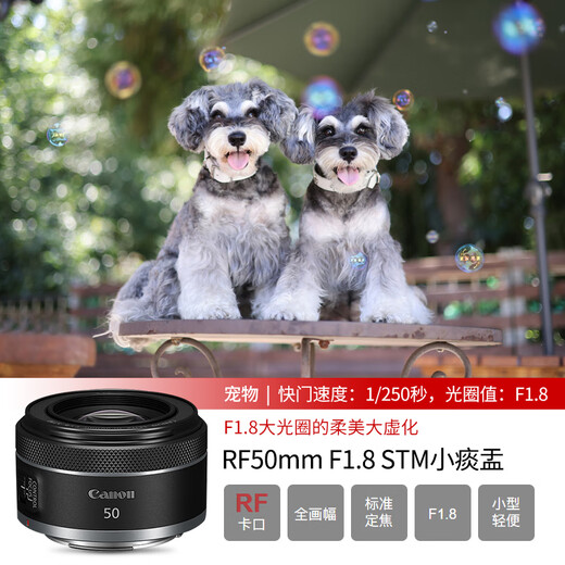 Canon RF micro-single lens full-frame fixed focus lens Canon rf lens R10 R7 R8 R62 R5 available lens RF 50mm F1.8 STM small spittoon portrait fixed focus official standard No UV/filter/cleaning kit, only factory configuration