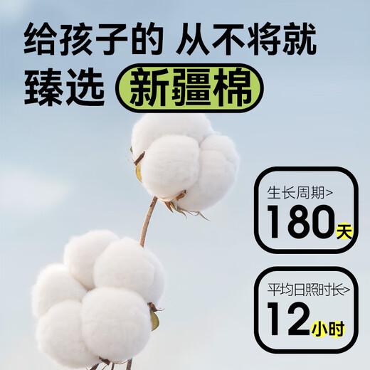 Xilinmen 0 Glue Mattress 4cm Jute Thin Mattress Teenagers and Elderly Mattress Nolan 10H Upgraded Version 1.8x2 Meter Hard