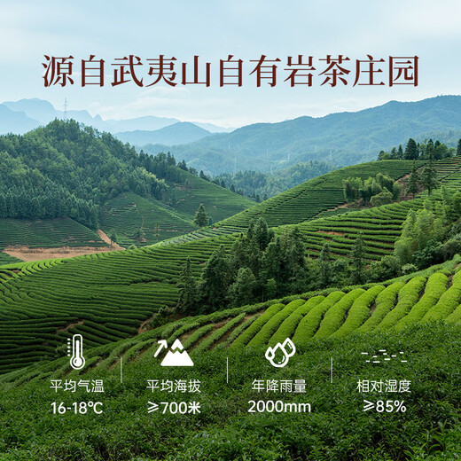华祥苑乌龙茶 武夷山岩茶大红袍一级67g中足火罐装优选口粮茶叶