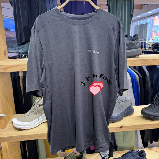 Archaeoptera Bird (Arc'teryx) Arc/Aposteryxcormac Arc/Aposbird Logo SS Round Hals kurzärmelig T-Shirt Herren BHR/Schwarz und Grau 7994/9721 2xl