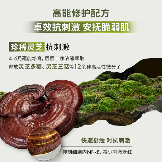 Origins Ganoderma lucidum mushroom water 200ml moisturizing toner essence skin care products wet compress hydrating spray birthday gift for girlfriend