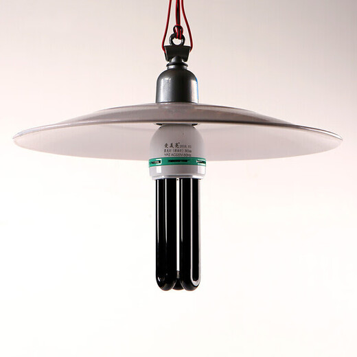 Maixinyi Schwarzlicht-UV-Lampe, violette Lampe, violette Lampe, Züchtungsfalle, Spannungsdruck-Härtungslampe, 40 W (12 V Spannung mit Clip-Leitung), universell