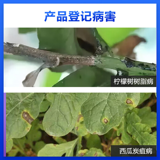 Hulianshida 40% Difenoconazole Watermelon Anthracnose Resin Disease Fungicide Pesticide 100g