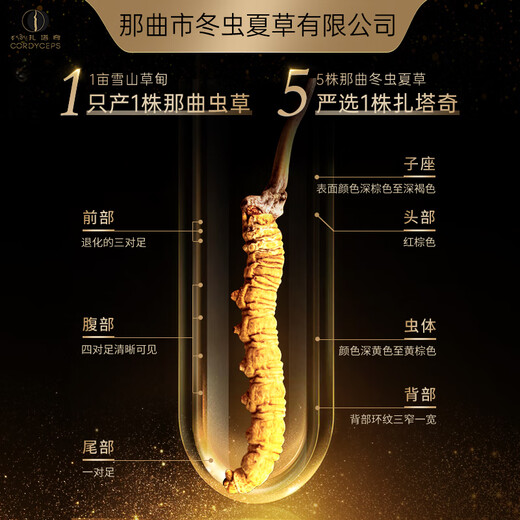 Nagqu Cordyceps sinensis wild Cordyceps 4 roots/g high-quality tonic Cordyceps gift box Health care nutrition supplements for elders and leaders and parents [Preferred for self-use] 3 roots