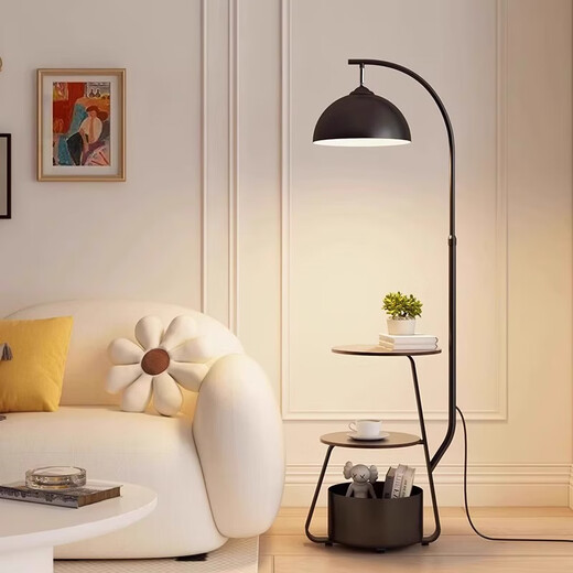 Zhong Shuai's bedroom new style 2024 fishing side wind lamp standing lamp cream sofa floor lamp side living room side table floor lamp black pole + iron storage + storage bucket + remote control dimming