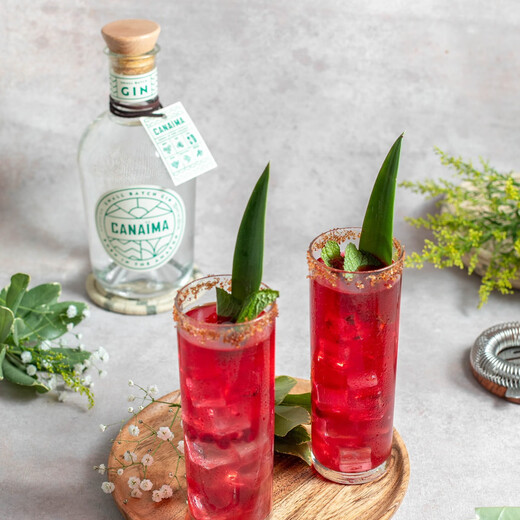 Canaima [Originalflasche importiert] Venezuela Amazon Rainforest Gin Wein 700 ml Canaima Regenwald Gin Wein 700 ml 1 Flasche