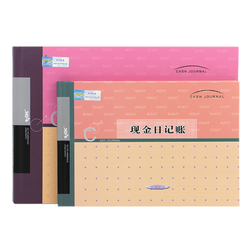 莱特 RIGHT现金日记账本账簿财务用品大本小本办公财务会计用品  总分类账（小本-订本）6211