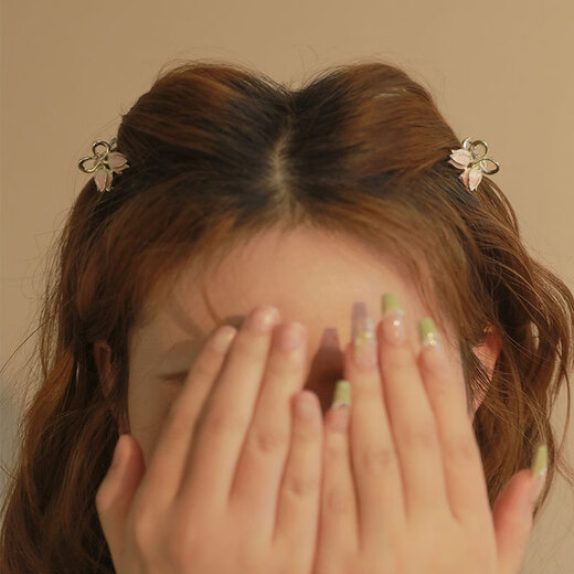 Xiang Wan hair clips 2 exquisite tulip small grab clips women's hair accessories small super fairy princess hair clip women's side bangs clip