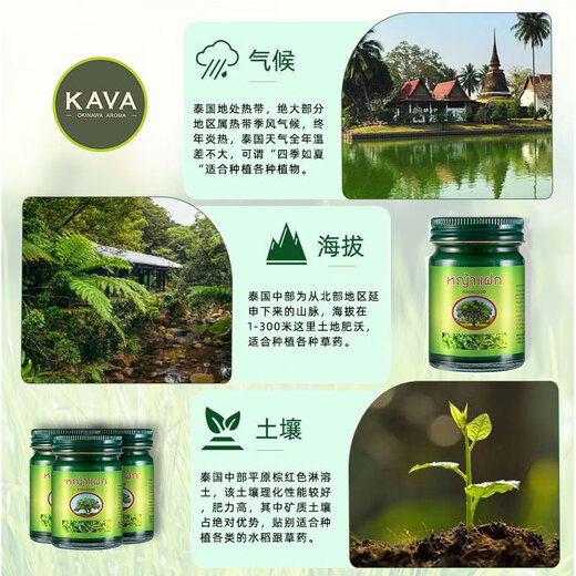 KAVAGOOD Thailand imported grass cream 15g*3 mint cream baby soothing cream mint cream cooling herb