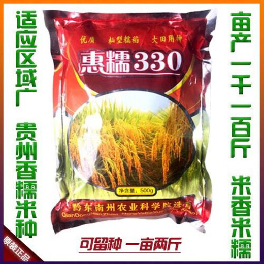 Гуйчжоу Тайхэ Сяннуо/Хуинуо 330/Цяннуою 88 семена ароматного клейкого риса, семена клейкого риса с короткими зернами, круглые, Цяннуою 88, одна упаковка (длинный клейкий рис 200 г) гибрид