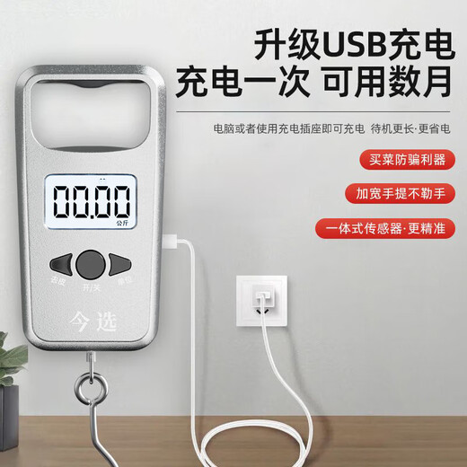 Die heutige Auswahl (Jinxuan) Tragbarer elektronischer Skala Hochvorbereitete tragbare mini kleine hängende Skala-Haken-Wiege-Spring-Gepäckschale Fischereiskala Silber Batterie Modell 50 cm Jin [Jin ist 0,5 kg]