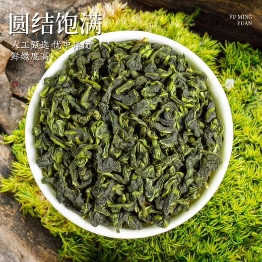 音朗乌龙茶叶 安溪铁观音 2025新茶春茶正宗兰花香清香高山茶罐装120g