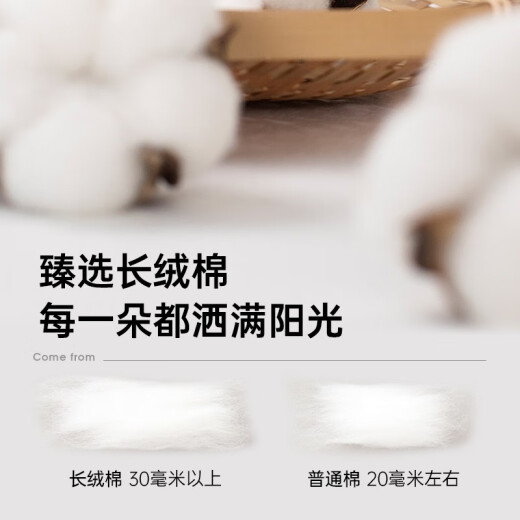 七匹狼【穿久如新】短袖T恤夏季男装Polo体恤衫翻领100%棉t衣服上衣男 005(浅灰)-穿久如新-6227 3XL 185/100A