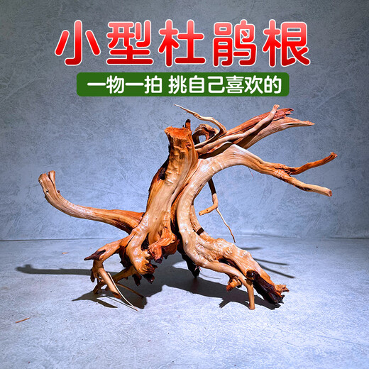 Natural sunken wood azalea root fish tank landscaping material habitat for fish and shrimp to avoid lizards climbing and pet arch bridge ornaments Selected medium-sized azalea roots 18-25 cm 2 pieces Selected azalea root sunken wood