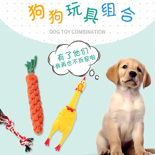 Cute Star Pet Dog Toy Anti-Crush Teeth Cleaning Set Cotton Rope Braided Ball Interactive Training Screaming Chicken Dog Supplies