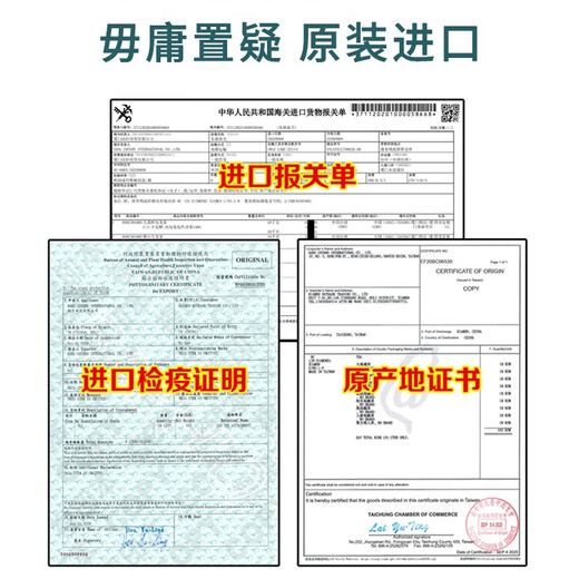 尚轩台湾原装进口 冻顶乌龙茶 清香型+浓香型 台湾高山茶礼盒装300g