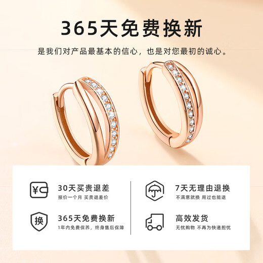 Vana Earrings Women's Silver Earrings Earrings Earrings Temperament High-end Birthday Gifts for Girlfriends and Wife Mobius Earrings丨White Gold