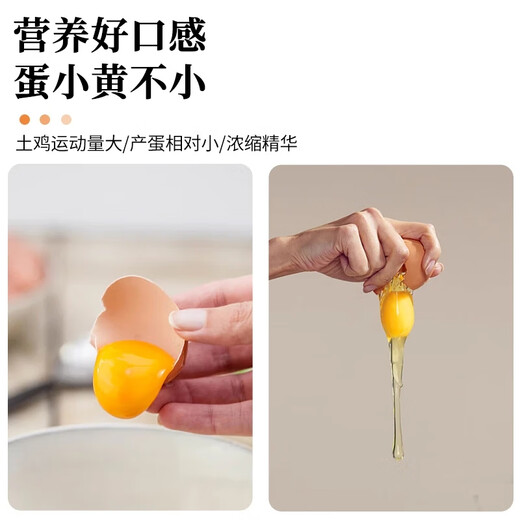Jingxijia sterile eggs can be eaten raw 45g-50g soft-boiled eggs breakfast fresh eggs Jingdong shopping can be eaten raw 8 pieces Jingxijia sterile eggs can be eaten raw 45g-50g soft-boiled eggs breakfast fresh eggs Jingdong shopping can be eaten raw 8 pieces