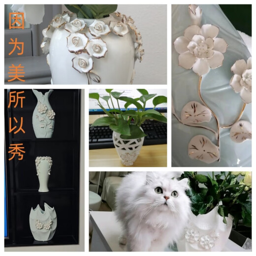 山头林村创意欧式陶瓷花瓶摆件电视柜客厅餐桌饰品水培花器结婚礼物 17211-1白彩薇花瓶