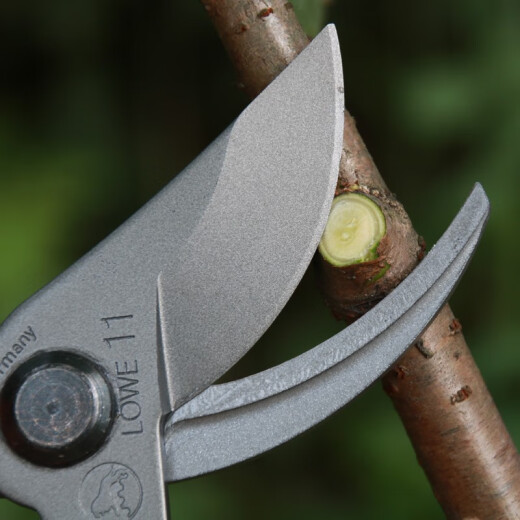 Original importado de Alemania, tijeras de poda de lujo de la marca Lion, tijeras de árbol de frutas de alta gama, manija giratoria, marca de león 12109 Mango giratorio pequeño + set de cizalladura