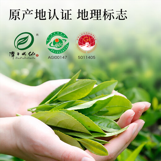 七春 漳平水仙乌龙茶叶 新茶兰花香浓香型 乌龙茶新茶袋装125g 