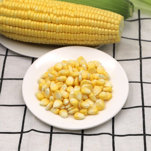 Good Farmer Baocai Shandong Fresh Fruit Corn Single Root 275g + Fresh, Sweet and Juicy 4-7 Roots Net Weight 4.6 Jin Jin equals 0.5 kg Straight from the source