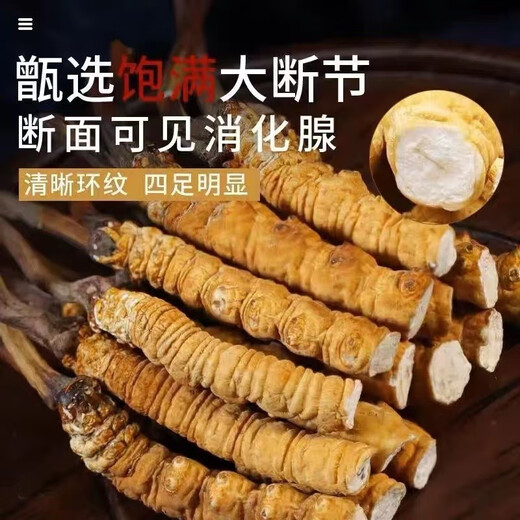 西那藏曲大断草虫草冬虫夏草断草高海拔虫草干货断草自用实惠装 西藏那曲精品大断草5克