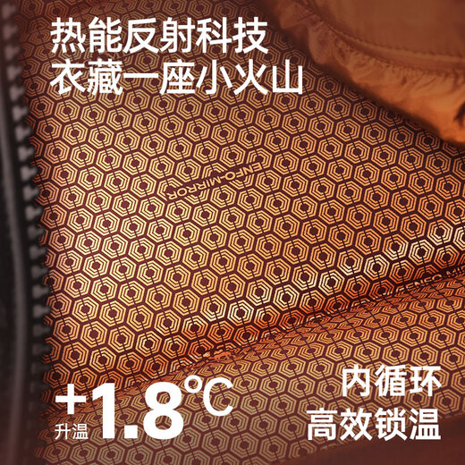 骆驼（CAMEL）男装羽绒服工装外套城市轻户外秋冬防泼水防风面包服M34CAKI687